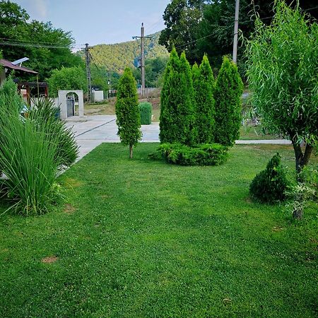 Taverna Gradetului Schitu Topolnitei 外观 照片